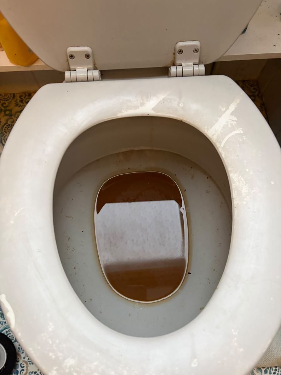 Toilet bowl full of dirty water from a blocked drain